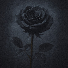 black rose /w LOSTMANE