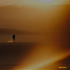 Highest Love Sultan+Shepard with LANKS (Sprag remix)