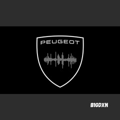 Peugeot seatbelt