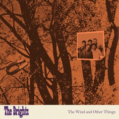 Trees Don't Sway Before the Wind Blows