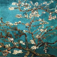 Gidemediklerimiz - Hümeyra