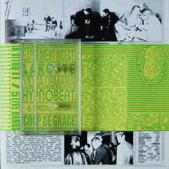 In Vitro II (Part 2)
