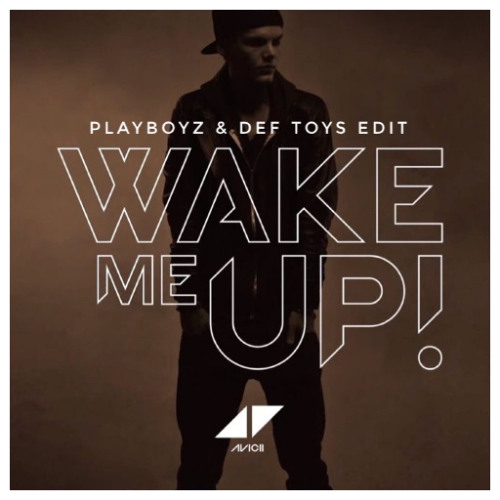 Playboyz & Def Toys - Wake Me Up Edit (Download for long version)