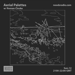 Aerial Palettes w/ Roman Ćinske :: Noods Radio (December)