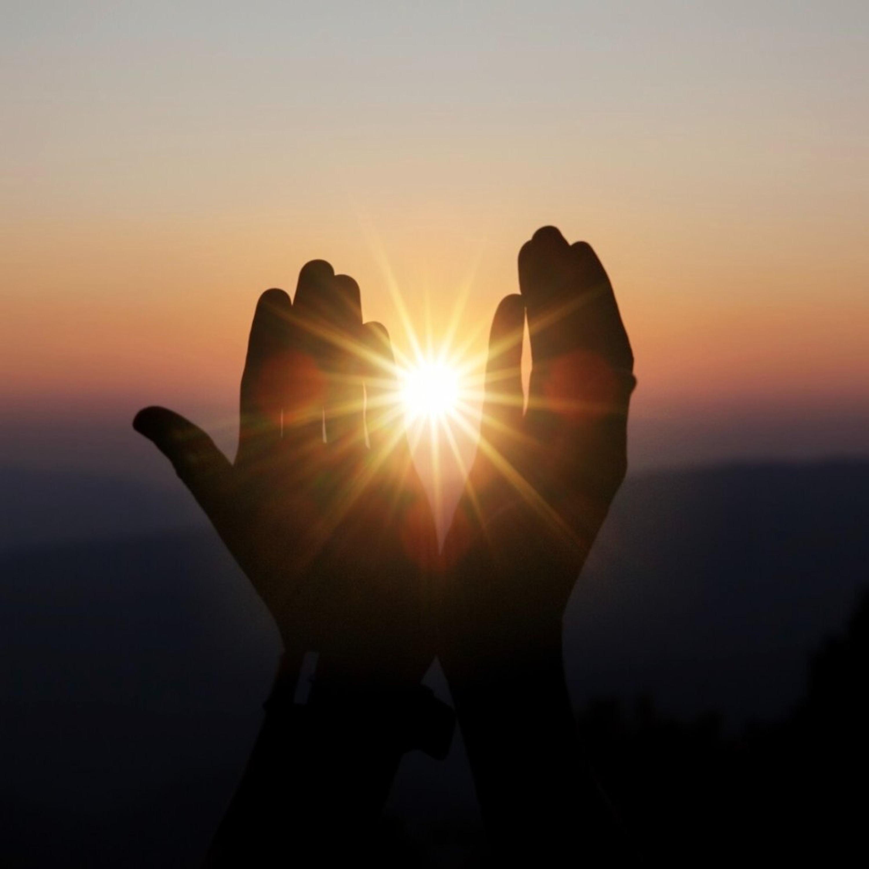 Vivre dans la Divine Volonté