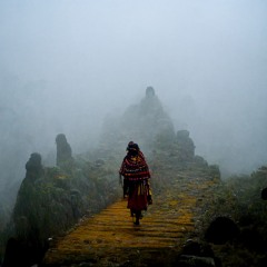 Girl In The Mist