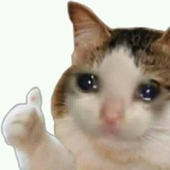 ㅇㅃㅇ