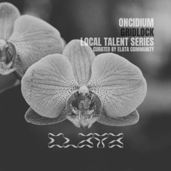 Oncidium 013 | Gridlock