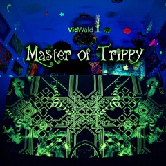 Master.of.Trippy - Beamstream