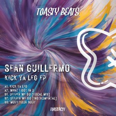 PREMIERE: Sean Guillermo - What I Got In U [TOASTBC21]