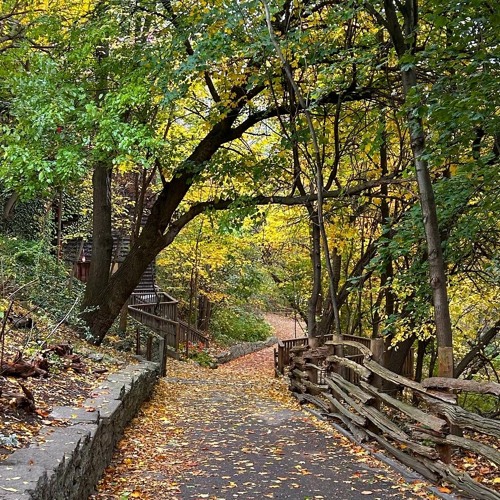 autumn