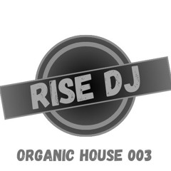 RISE DJ | Organic House 003 July 24