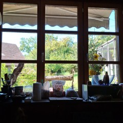 Dont Look Back In Anger Take 2 (Oasis Cover)