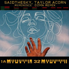 Said The Sky - Reminisce Ft. Taylor Acorn (DZMA Remix)