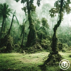 deep story nr. 212 | obscurity | by Nic Lorenz