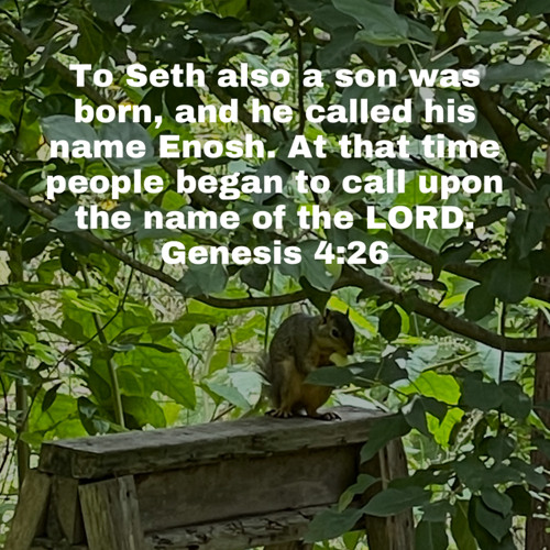Genesis 4:14-26 - The Division of Humanity
