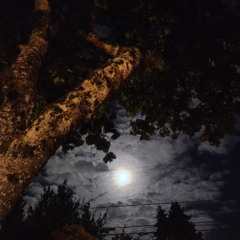 MoonlightAlchemy