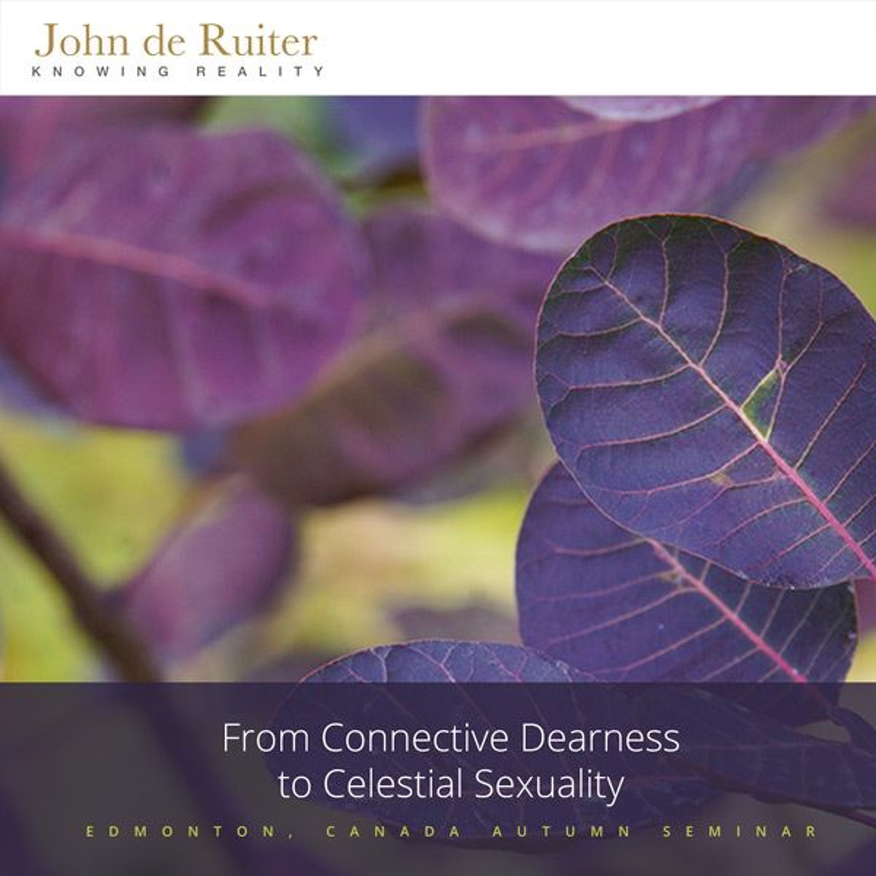 349 - From Connective Dearness to Celestial Sexuality - 1 of 1 episode artwork