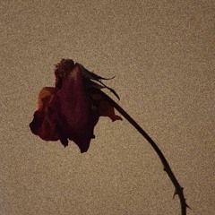 i'm just a loser demo