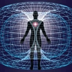 Toric Field Practice