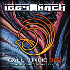IGGY_NACH - Gall D'INDIE —002—