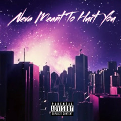 Neva Meant To Hurt You