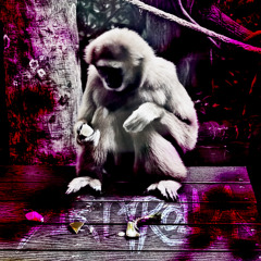 Off [prod. @perfect1turk]