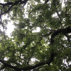 ohificouldgoback.mp3