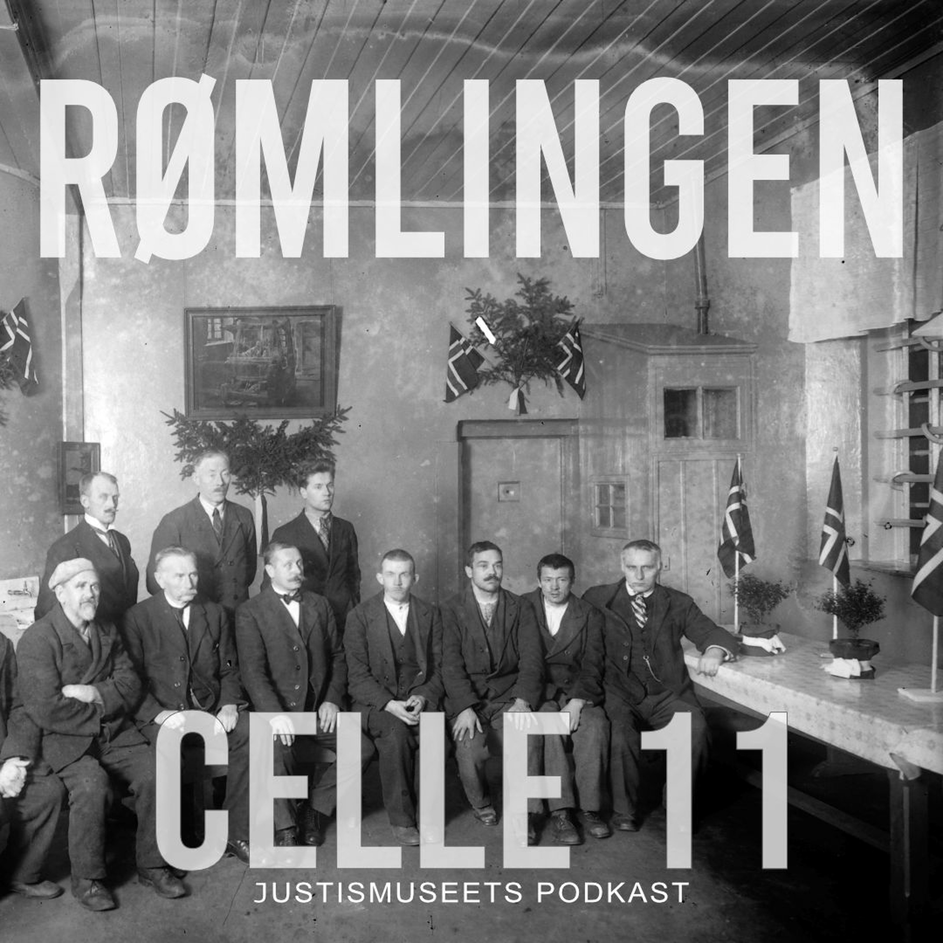 Celle 11