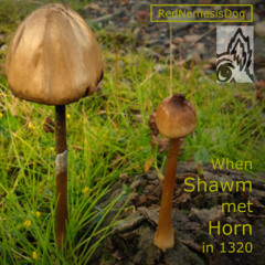 When Shawm met Horn in 1320