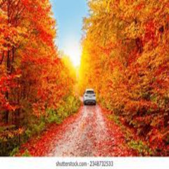 autumn