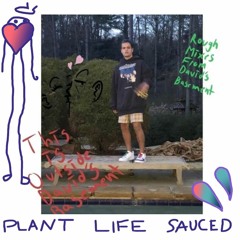 6 dogs - plant life (sauced) 🥫💜