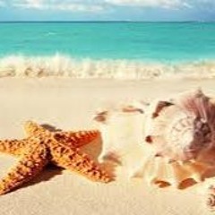 Seashell Beach©️