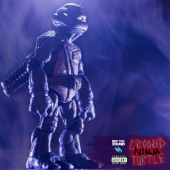 Haunting Beauty feat. Crooked Ninja Turtle