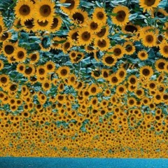 Girasoles En Su Pelo