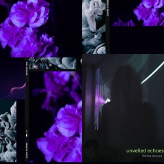unveiled echoes 005 w/ forma oscura (03.12.24)