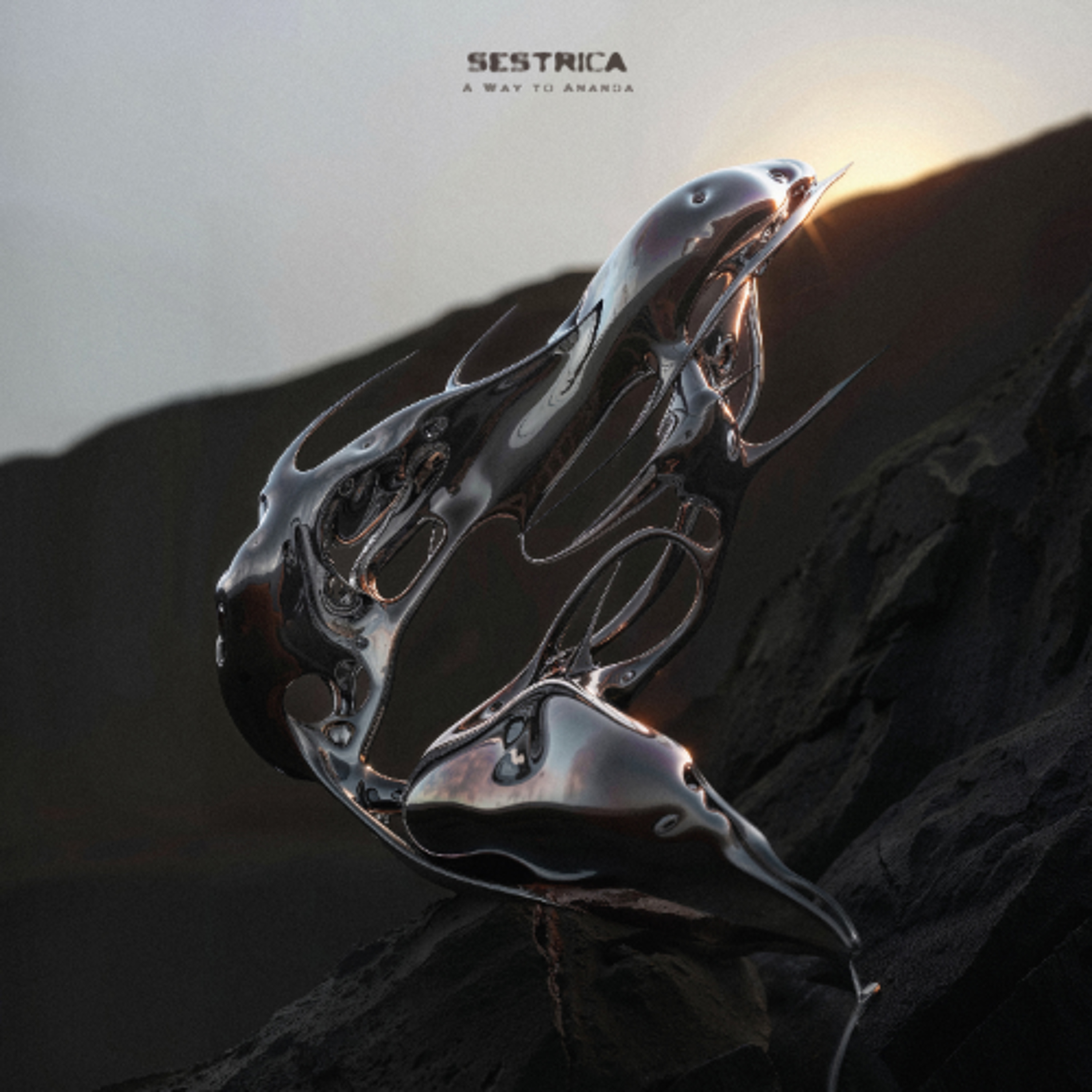 PREMIERE : Sestrica - Ananda (Not Even Noticed Remix)