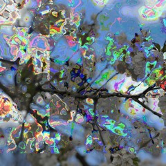 CYN#wAR (Benjolin Synthcore)