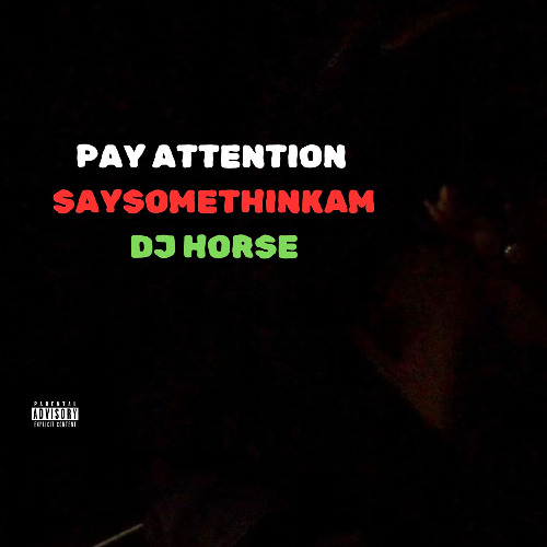 Pay Attention feat DJ Horse