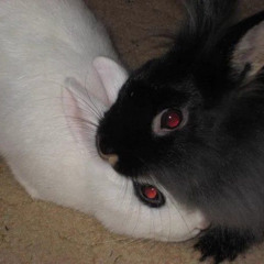 never goodbye - 2 towns over