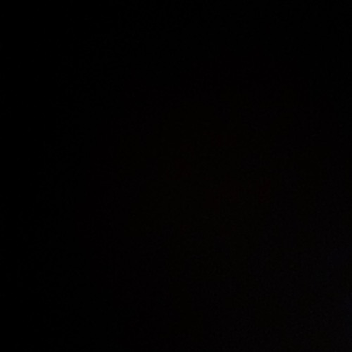 Musica 2026 — cover