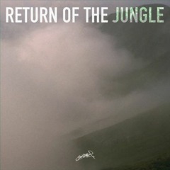 "Return of the  Jungle" A_03.Heavy Stride (LP&Limited CassetteTape)