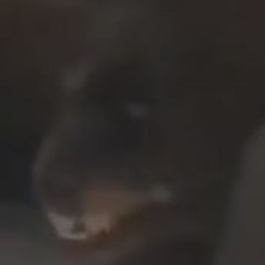 Alien Weaponry -  Holding my breath (COVER by Kian Riley)