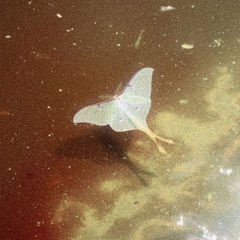 "WATER DROP" Melodic Type Beat