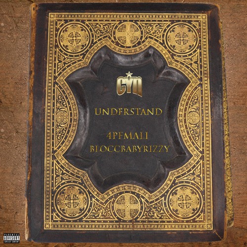 4pf Mali x BloccBabyRizzy - Understood