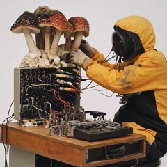 "natural to me" - A.F.B