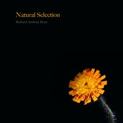 Natural Selection