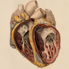 everything i wanted by Billie Eilish-Cover