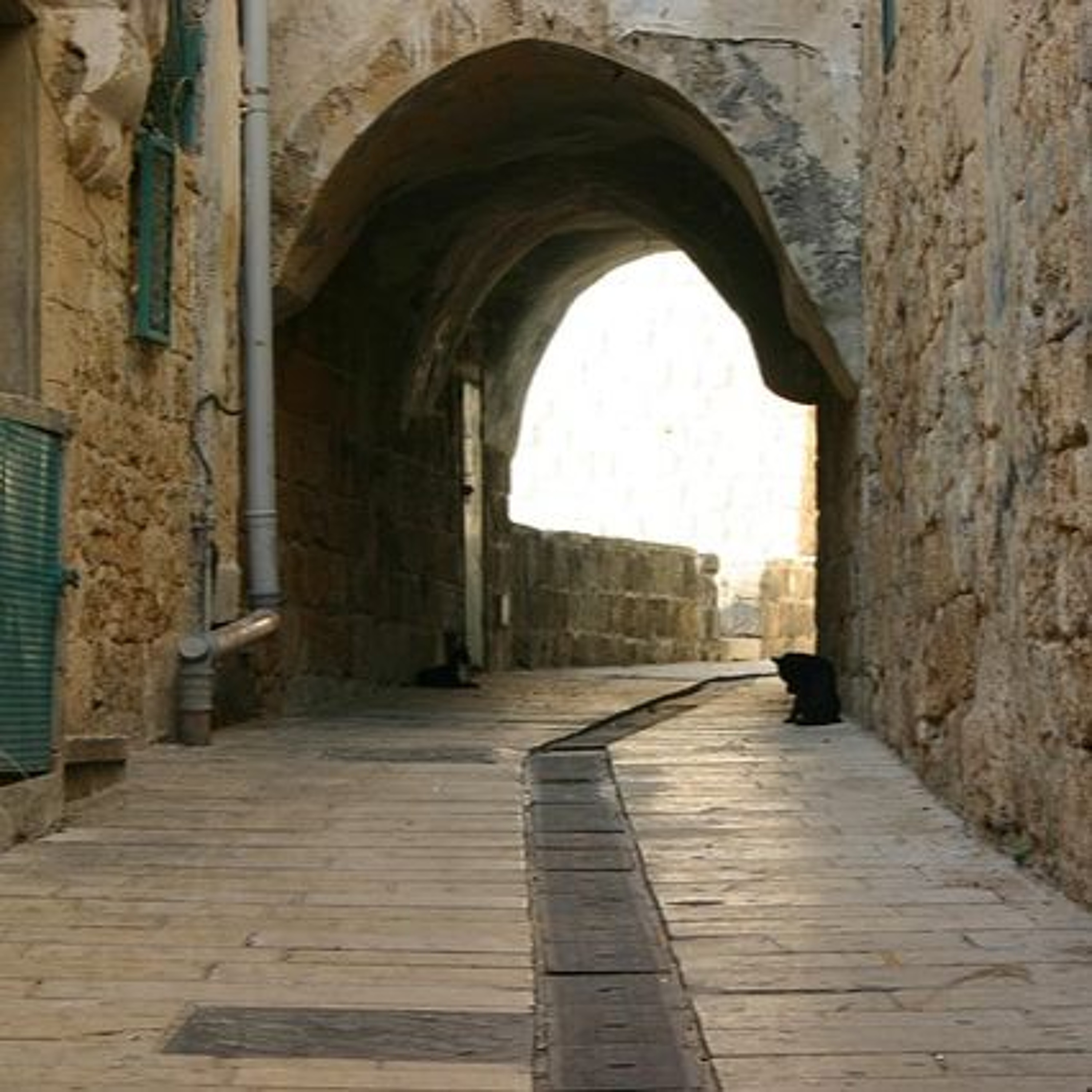 Israel in the Next 20 Years + War News - The Tamar Yonah Show