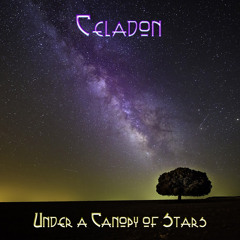 Morning Star by Celadon